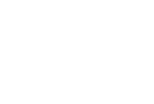 WiredScore Silver